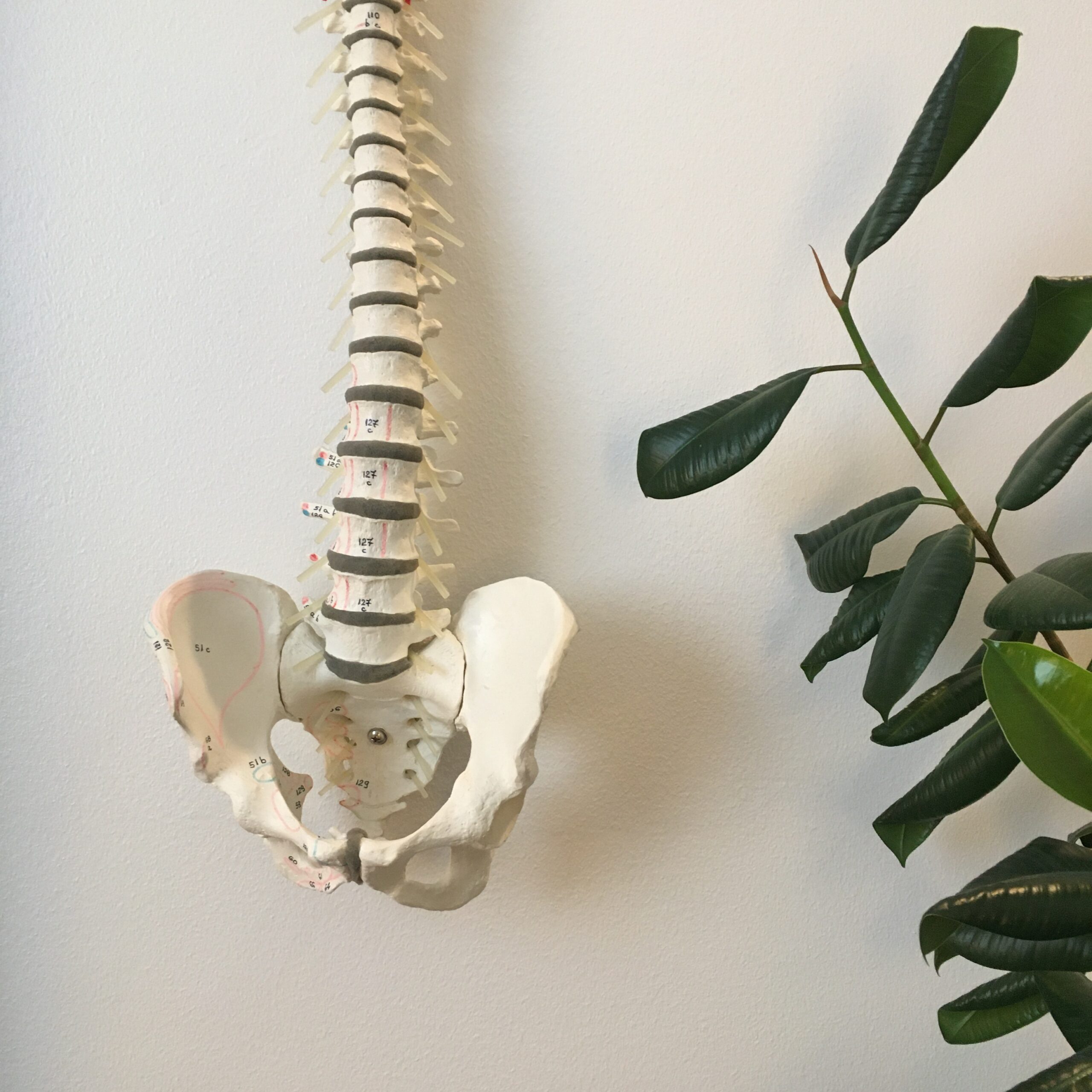 synnytysvalmennus verkossa